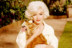 Marilyn et son p' tit toutou